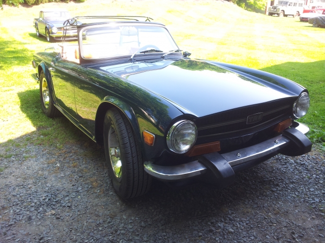 Mallard Blue TR6
