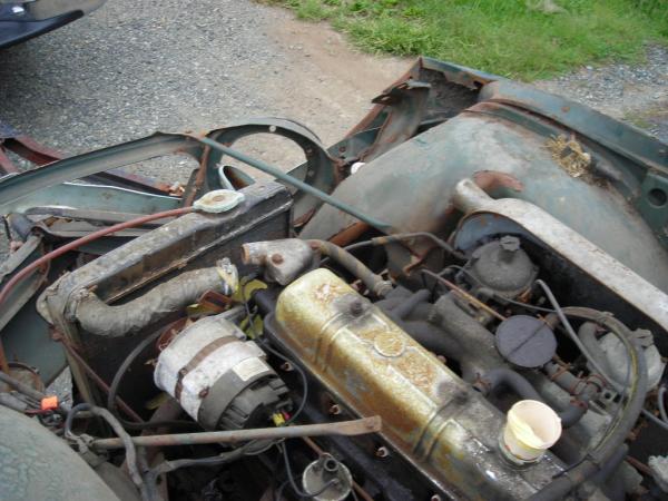 TR250